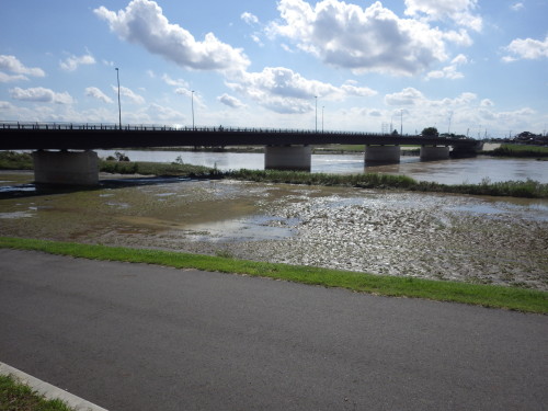 決壊した鬼怒川。水位は落ち着いている。